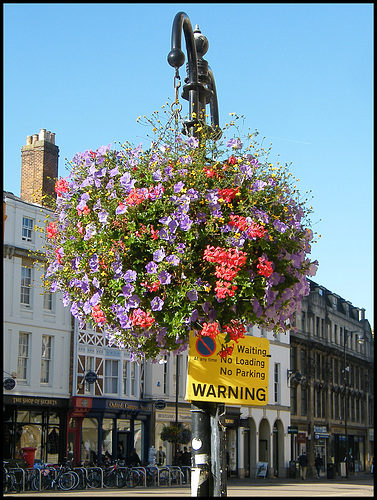 floral warning