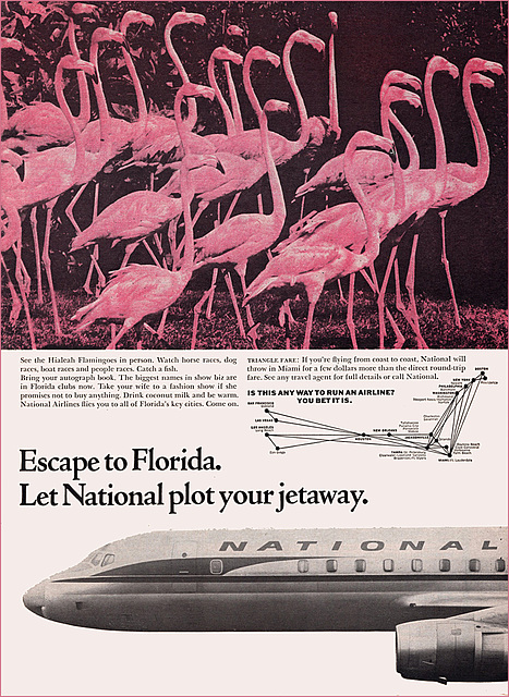 National Airlines, Ad,1964