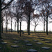 Belgium Langemark German cemetery (#0356)
