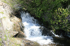 McConnell Creek