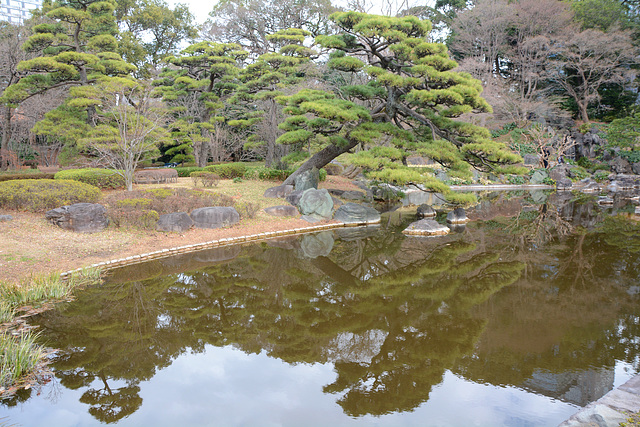 Tokyo, Reflection in the Ninomaru Pond in the Garden of the Imperial Palace