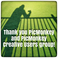 Thank you PicMonkey ...