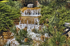 Falling Water – Alpine Garden, Botanical Garden, Montréal, Québec