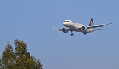 Lufthansa AINA
