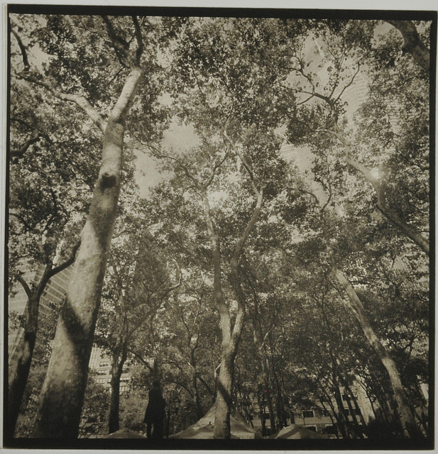 Bryant park statue trees