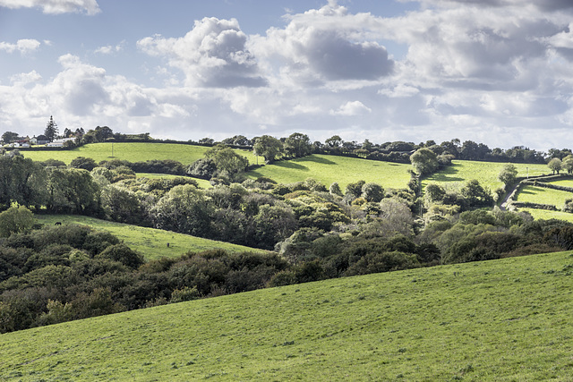 Waterwynch fields from coastal path