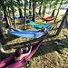 A forest of hammocks