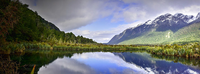 Near the road to Milford Sound
