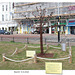 Bexhill Covid Memorial Tree of Hope -  10 9 2022
