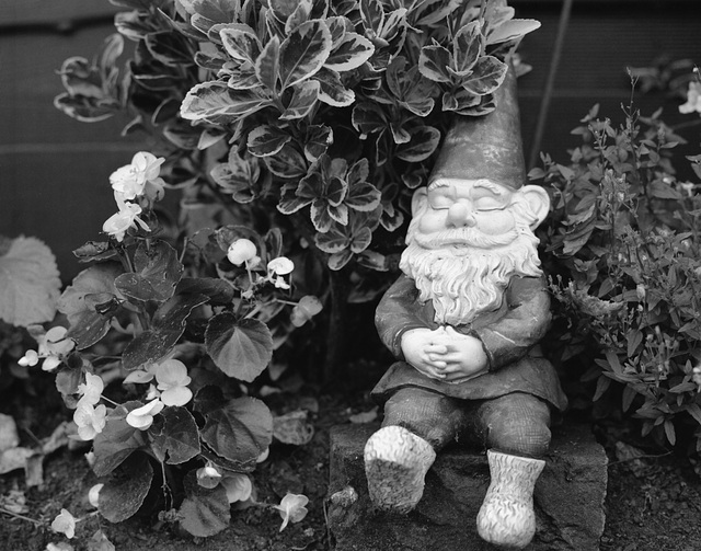 Alf Resco, the little garden elf