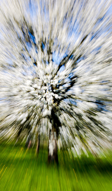 Spring - Exploding Nature