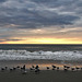 Seagulls awakening / Lever de mouettes