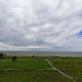 Naturschutzgebiet an der Bucht von Riga (© Buelipix)