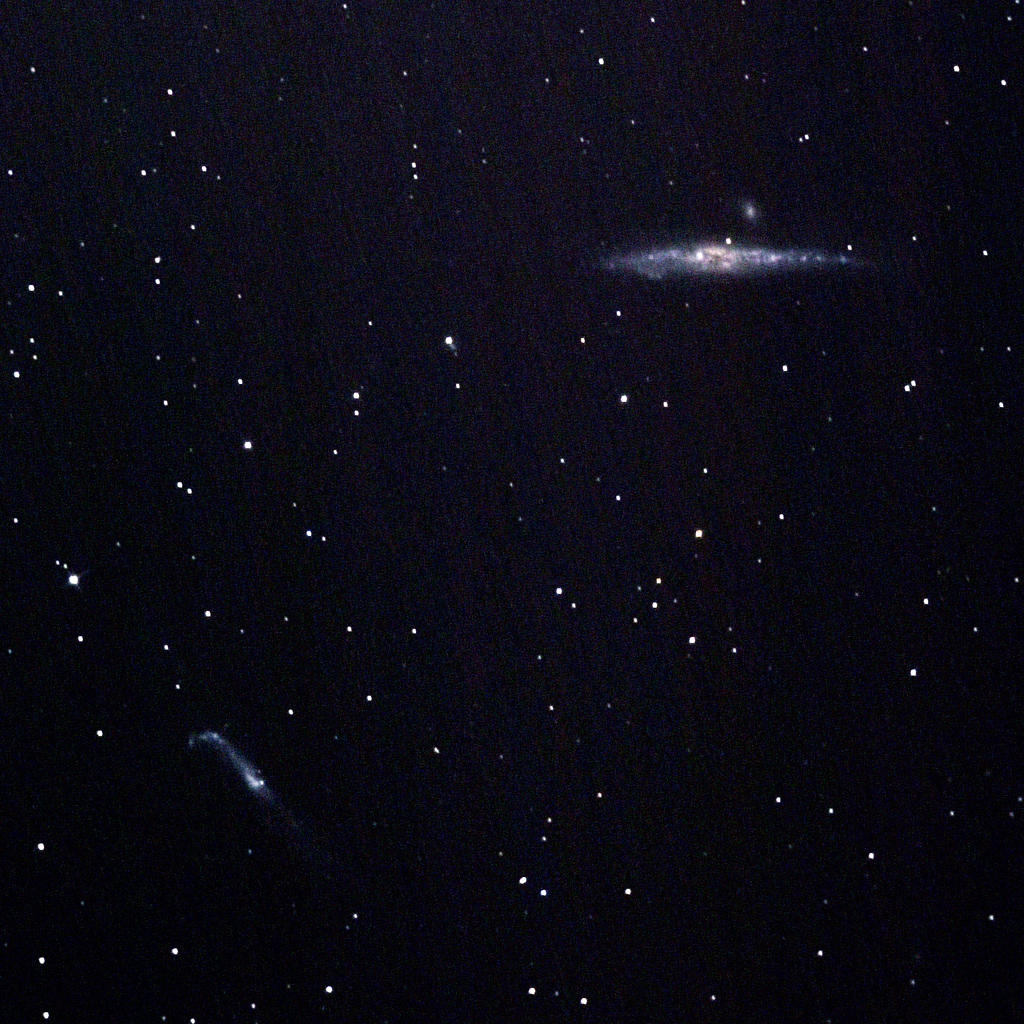 NGC 4631 (die Walgalaxie)