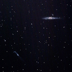 NGC 4631 (die Walgalaxie)