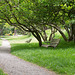 Neuseeland - Christchurch - Botanischer Garten