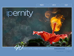 ipernity homepage with #1233
