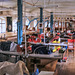 Sail and Colour Loft machine room interior panorama