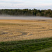 Alberta Field at Harvest Time