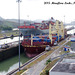 12 Miraflore Locks, Panama Canal