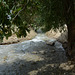 Turkmenistan, The Stream of Cold Water in the Valley of Chuli