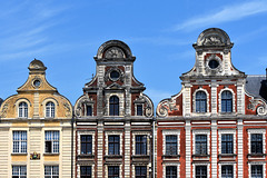 Small, Medium, & Large houses in Arras