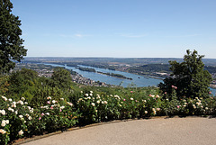 Rüdesheim - Ausblick beim Niederwaldtempel