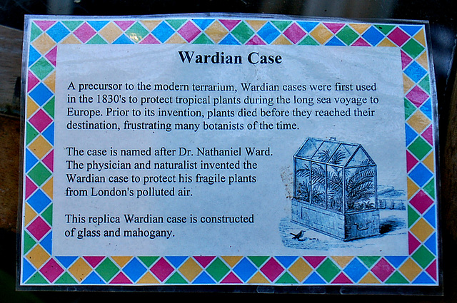 Wardian Case