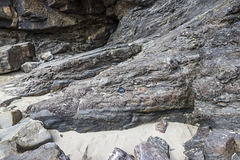 Nolton Haven sandstone channel edge lag deposits 2