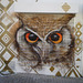 Owl on the blinds of Tchikinin Café.