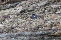 Nolton Haven ironstone pebbles in channel lag deposits