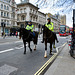 London 2018 – Mounted police