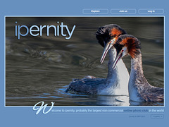 ipernity homepage with #1221