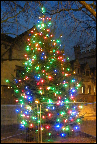 St Giles Christmas Tree 2017
