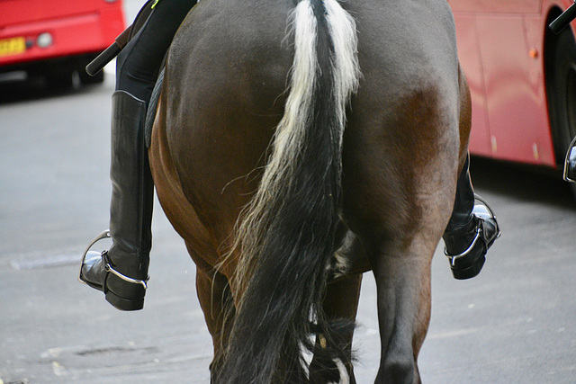 London 2018 – Mounted police (rear view)