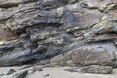 Nolton Haven channel sandstones