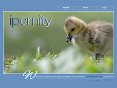 ipernity homepage with #1252