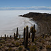 Bolivia, North Cape of Isla del Pescado (Fish Island)