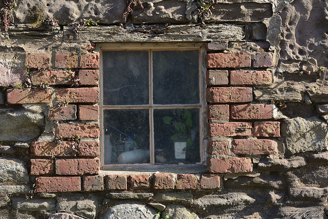 Just an old window