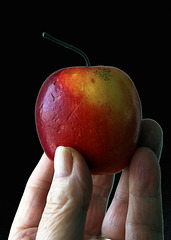 La pomme d'Adam est connue , mais bientôt le monde entier connaîtra la pomme de Julien !