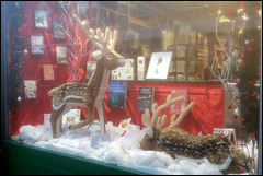 Christmas shop window