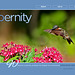 ipernity homepage with #1230