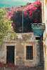 Ruine mit Blumendach auf Kreta