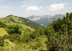 Bergwelt