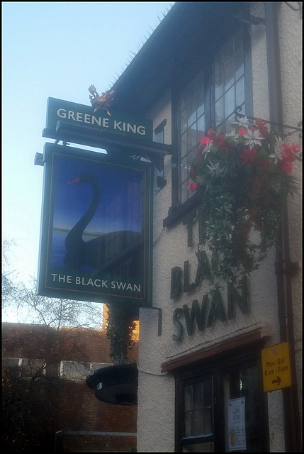 dingy Black Swan sign
