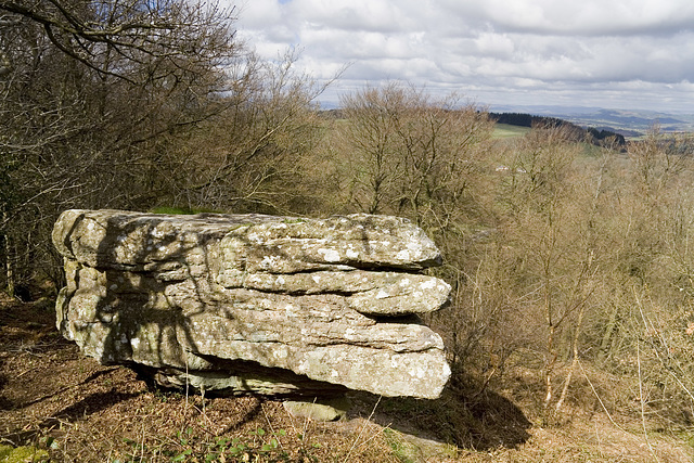 The Buck Stone, Staunton, Forest of Dean, Gloucestershire