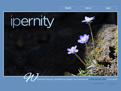 ipernity homepage with #1242