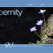 ipernity homepage with #1242