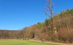 Spaziergang  bei Frühlingswetter 13 Januar 2015
