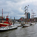 Hamburg 2019 – Niederhafen